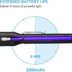 Extended battery